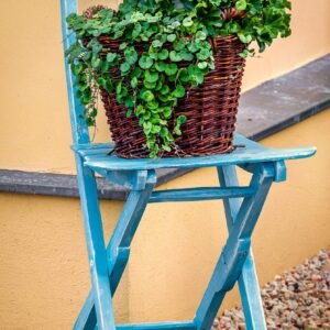 chair, flower, nature, basket, red, flower wallpaper, green, blue, orange, brown, decoration, design, flower background, beautiful flowers, plant, summer, furniture, garden, wooden chair